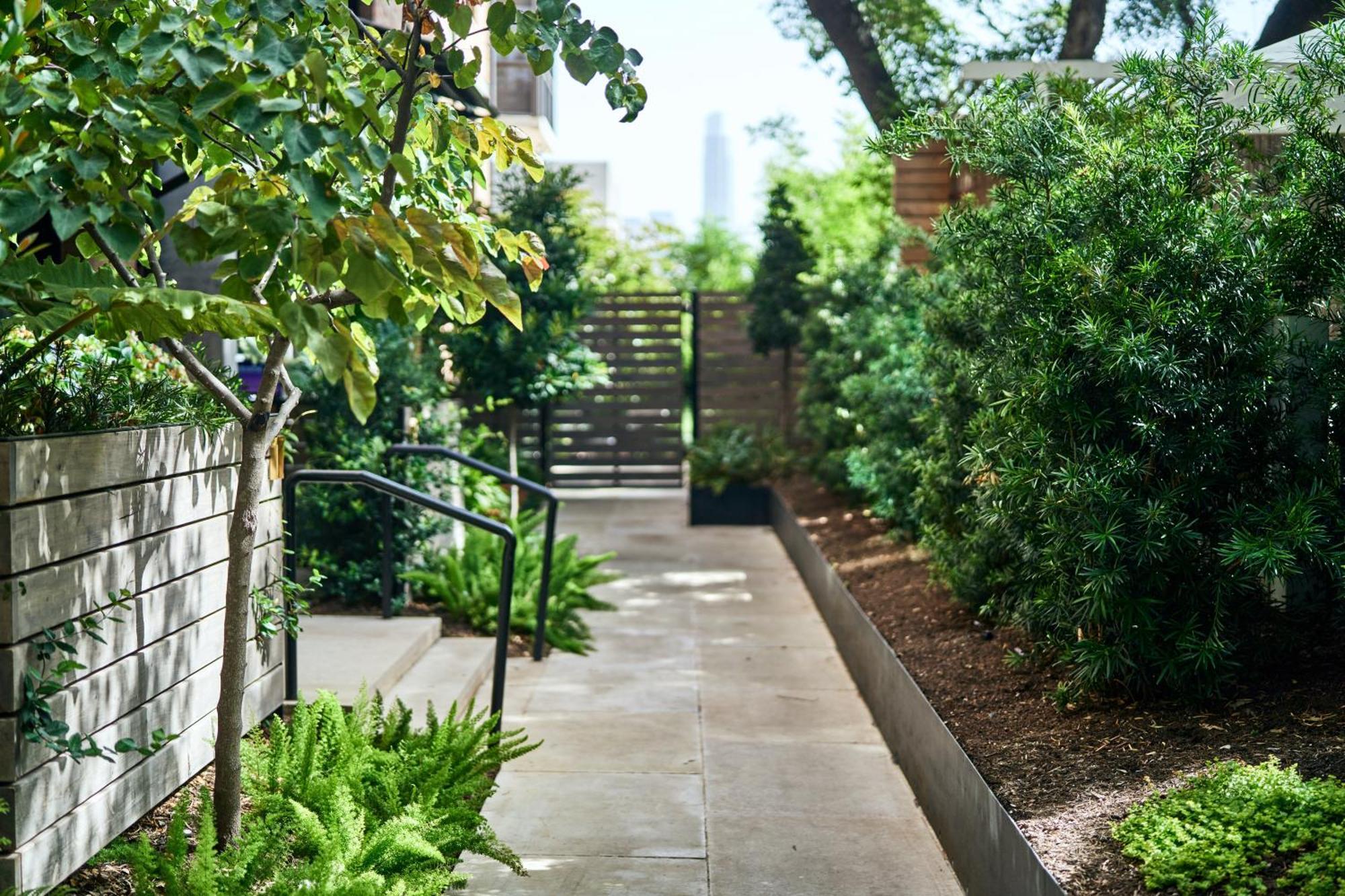 Hotel Saint Cecilia Austin Exteriör bild